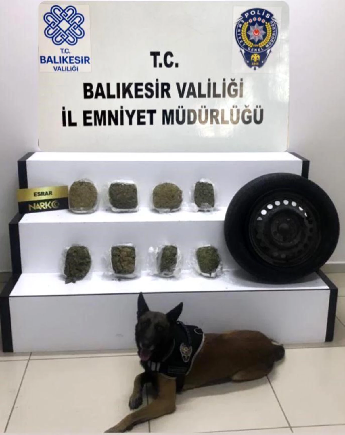 Edremit'te Polis Köpeği Cash'in Yardımıyla 2 Kilogram 978 Gram Esrar Ele Geçirildi